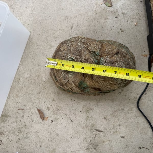 Zoo Med Reptile Hide Rock - Medium