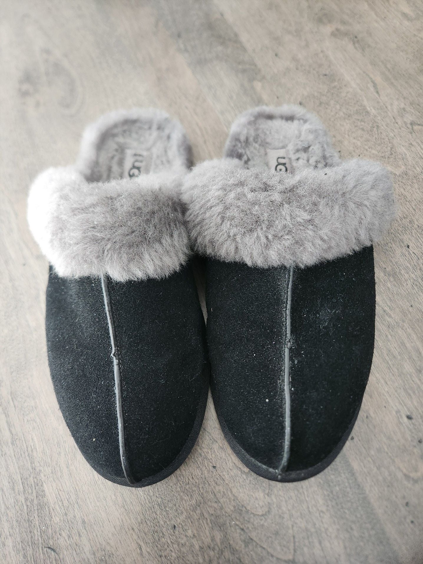 UGG Slippers 2