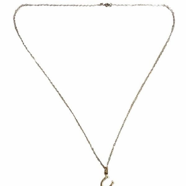 Gold Horseshoe Pendant Necklace with Delicate Chain 18 inches