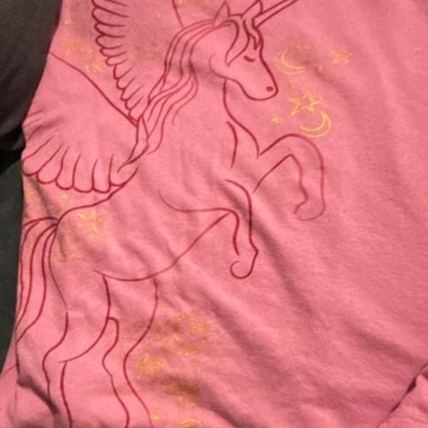 Wonder Nation Pink Pegasus Unicorn Nightgown Size XL (14-16)