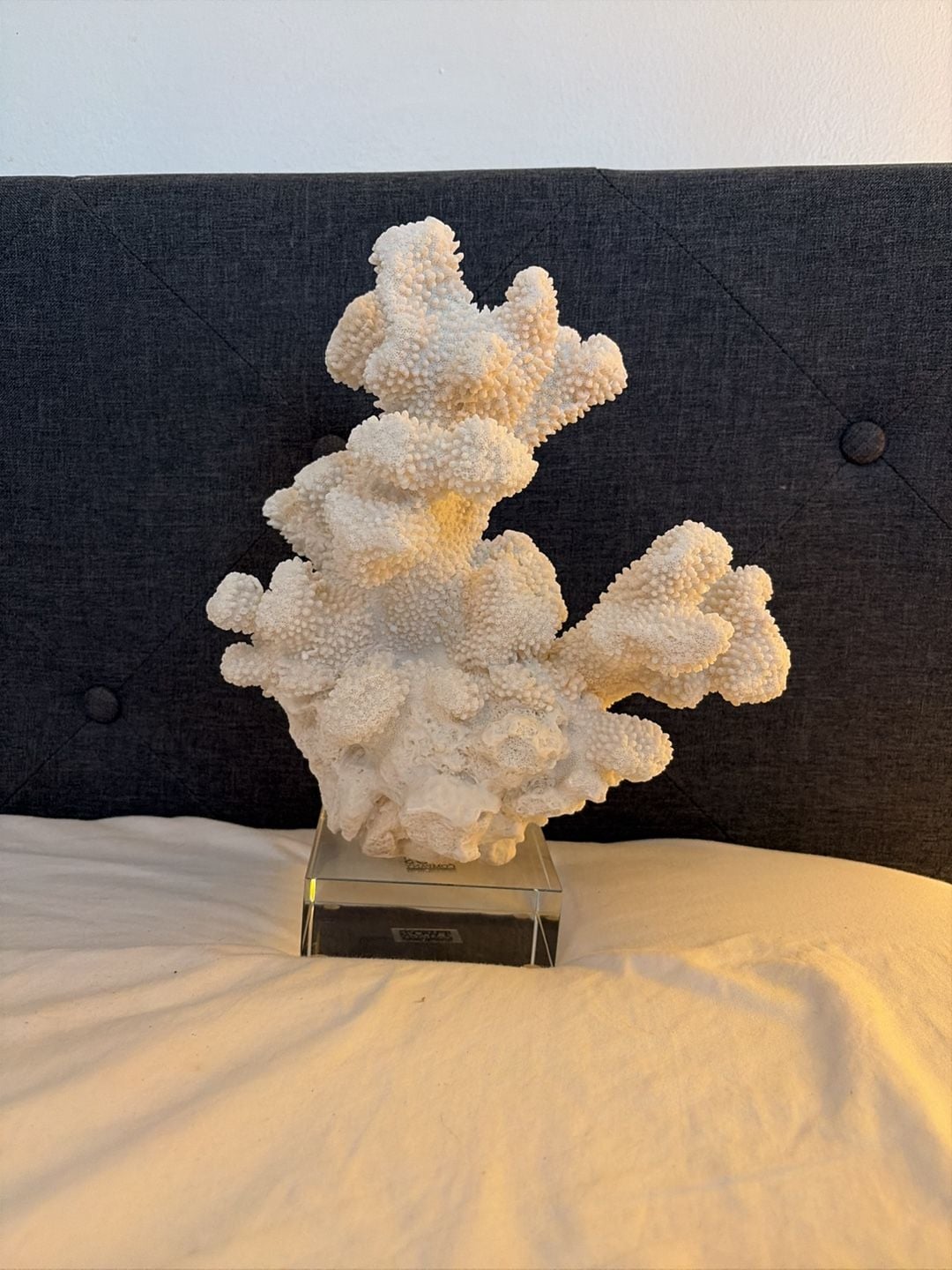 White Coral Sculptures – , 1