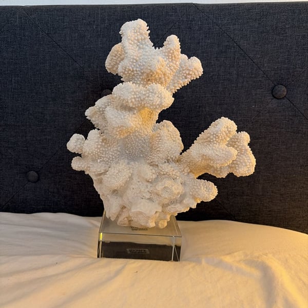 White Coral Sculptures – ,