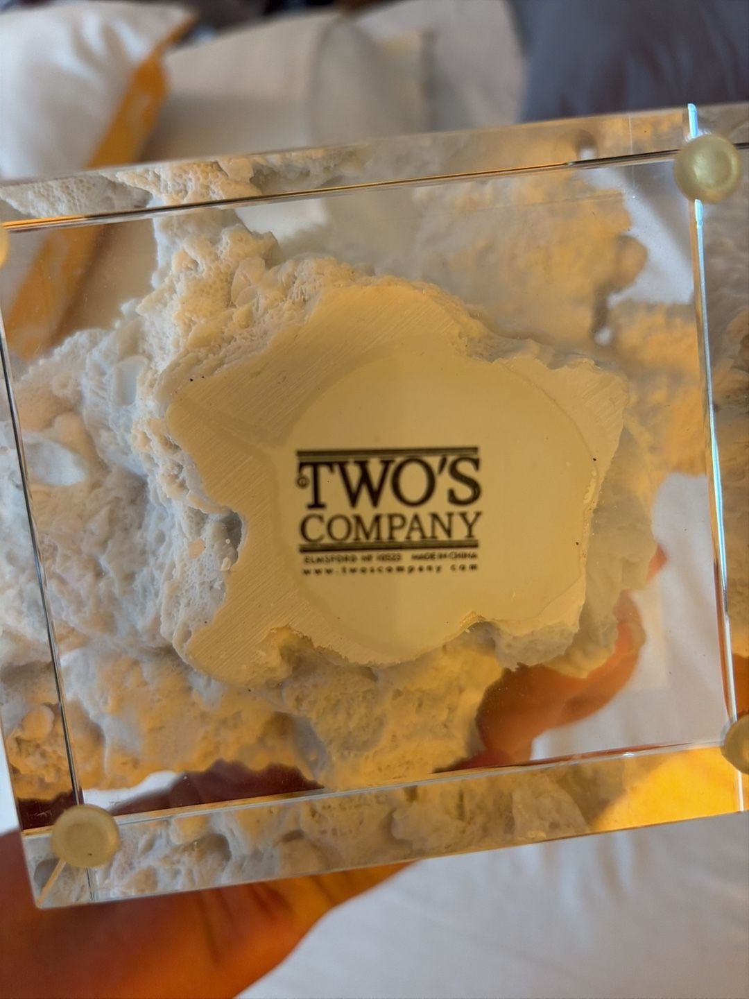 White Coral Sculptures – , 2