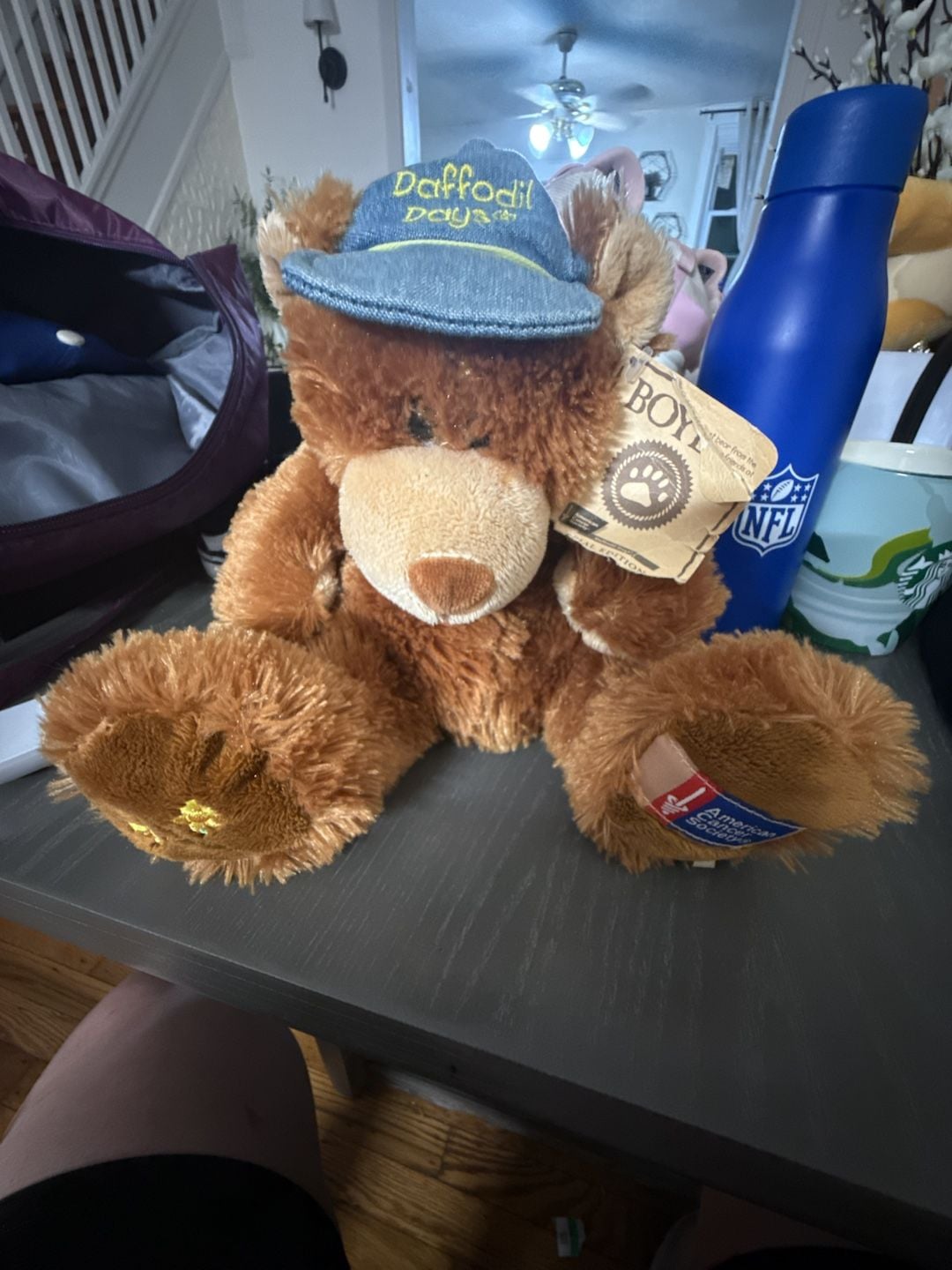 Boyds Bears Hugh Bear American Cancer Society Daffodil Days Plush with Denim Cap 1