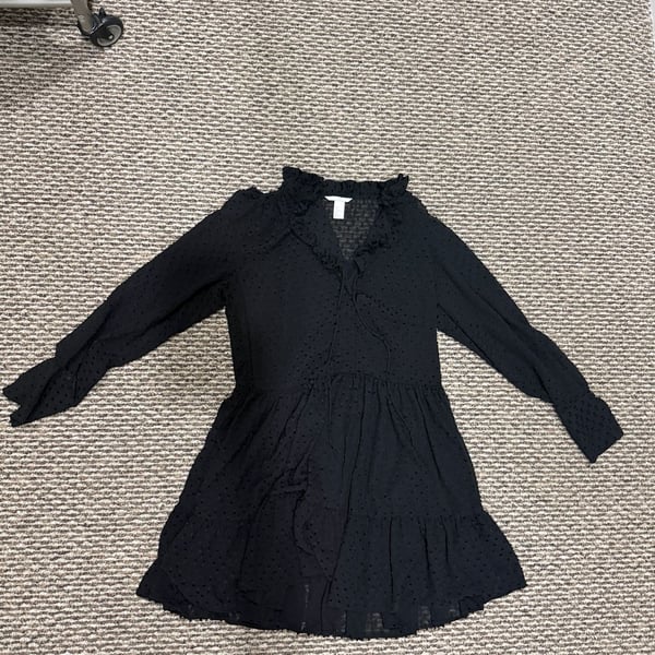 H&M Black Swiss Dot Ruffle Long Sleeve Mini Dress