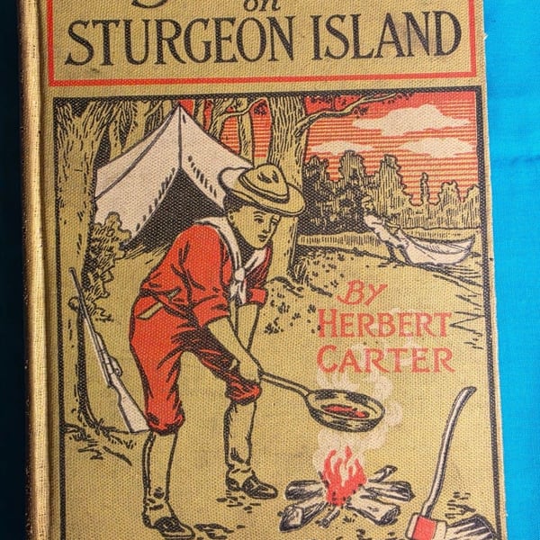 The Boy Scouts on Sturgeon Island by Herbert Carter Hardcover Book 1914