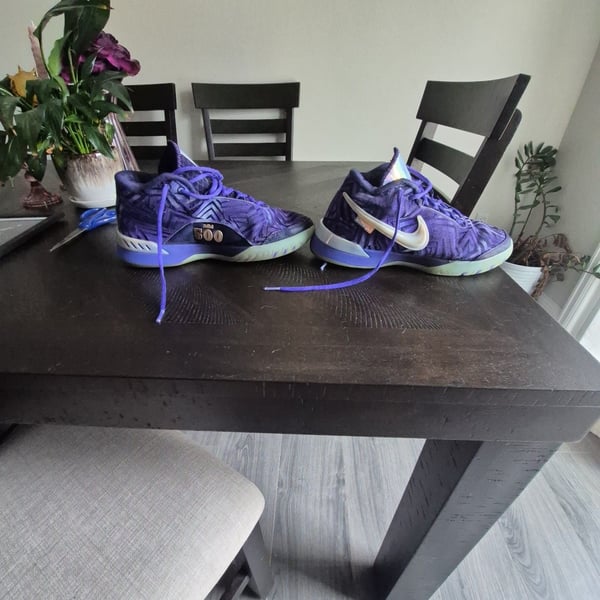 Nike Monopoly x Zoom LeBron NXXT Genisus Persian Violet Basketball Shoes