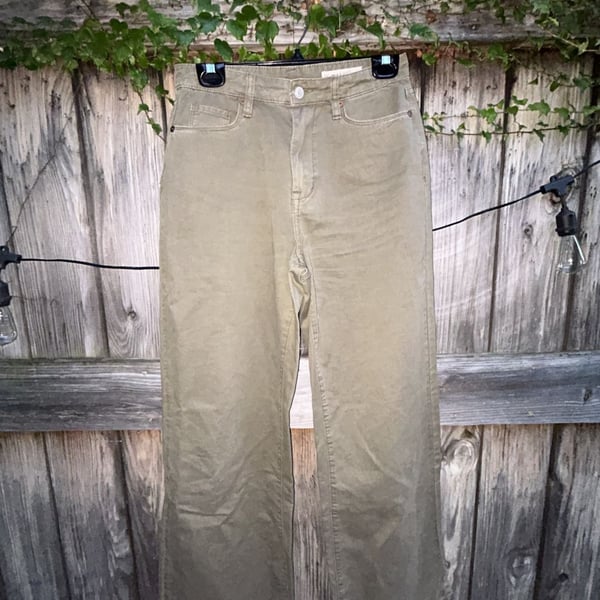 BlankNYC The Franklin Ribcage Wide Leg Pants Size 26 Olive Green