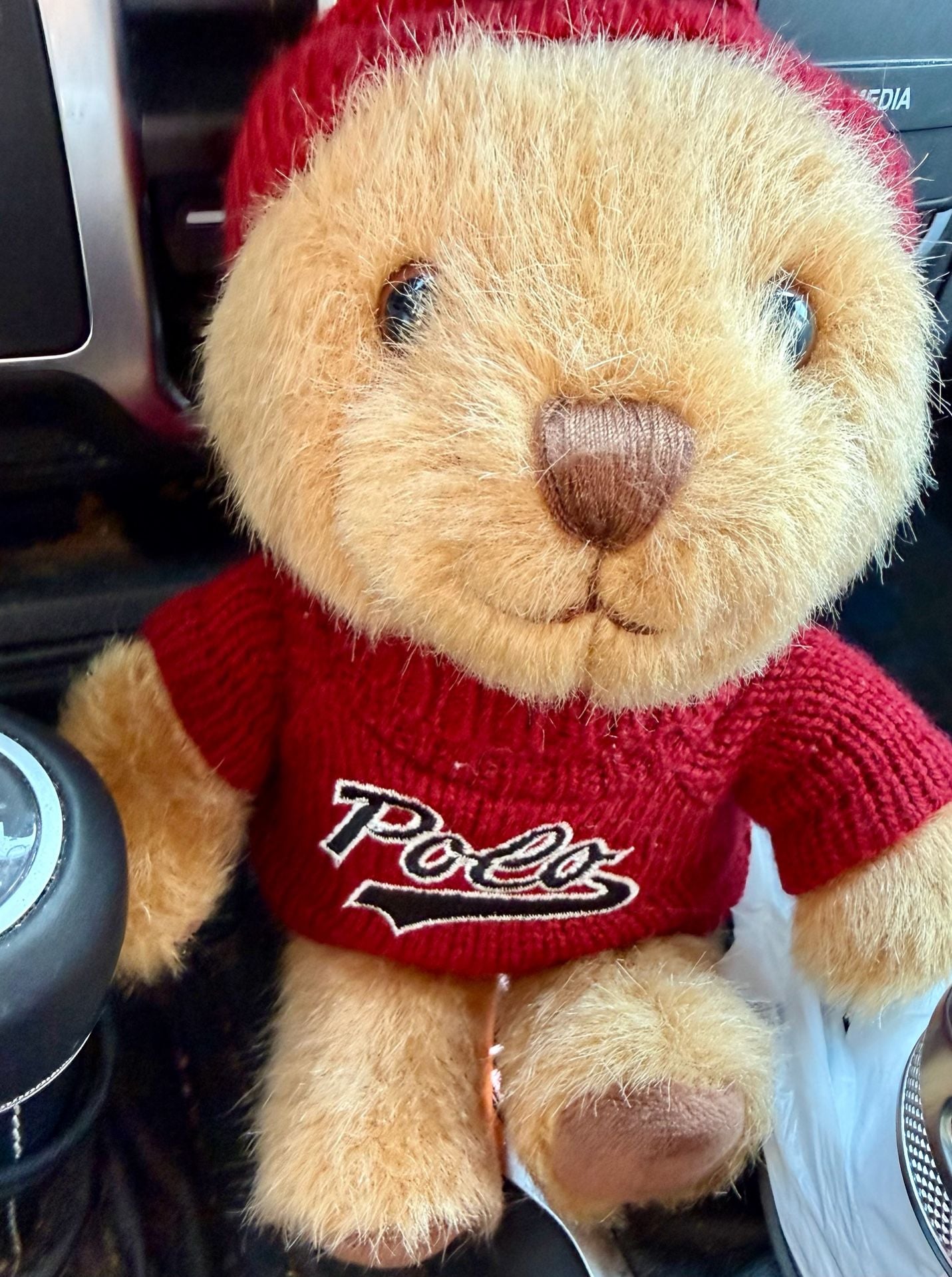 Ralph Lauren The Polo Bear Holiday Red Sweater And Beanie Hat Plush 4