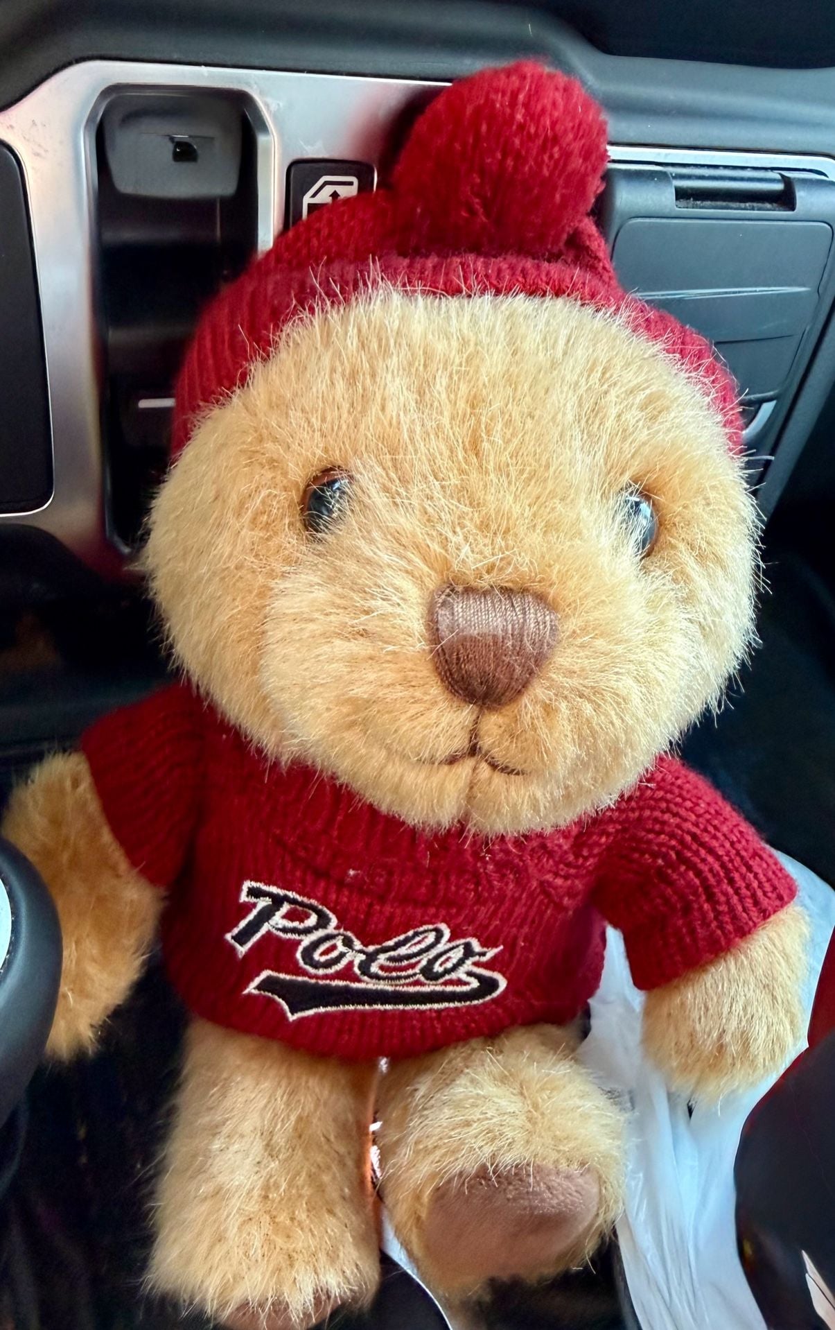 Ralph Lauren The Polo Bear Holiday Red Sweater And Beanie Hat Plush 5