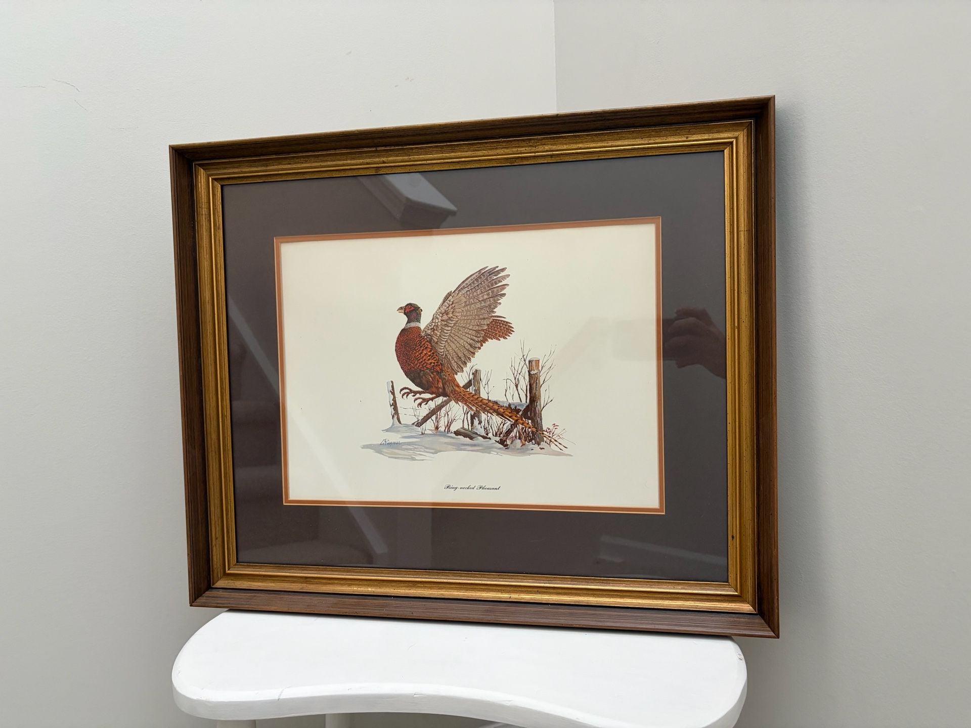 Ring-Necked Pheasant Art Print 1