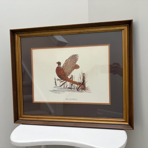 Ring-Necked Pheasant Art Print