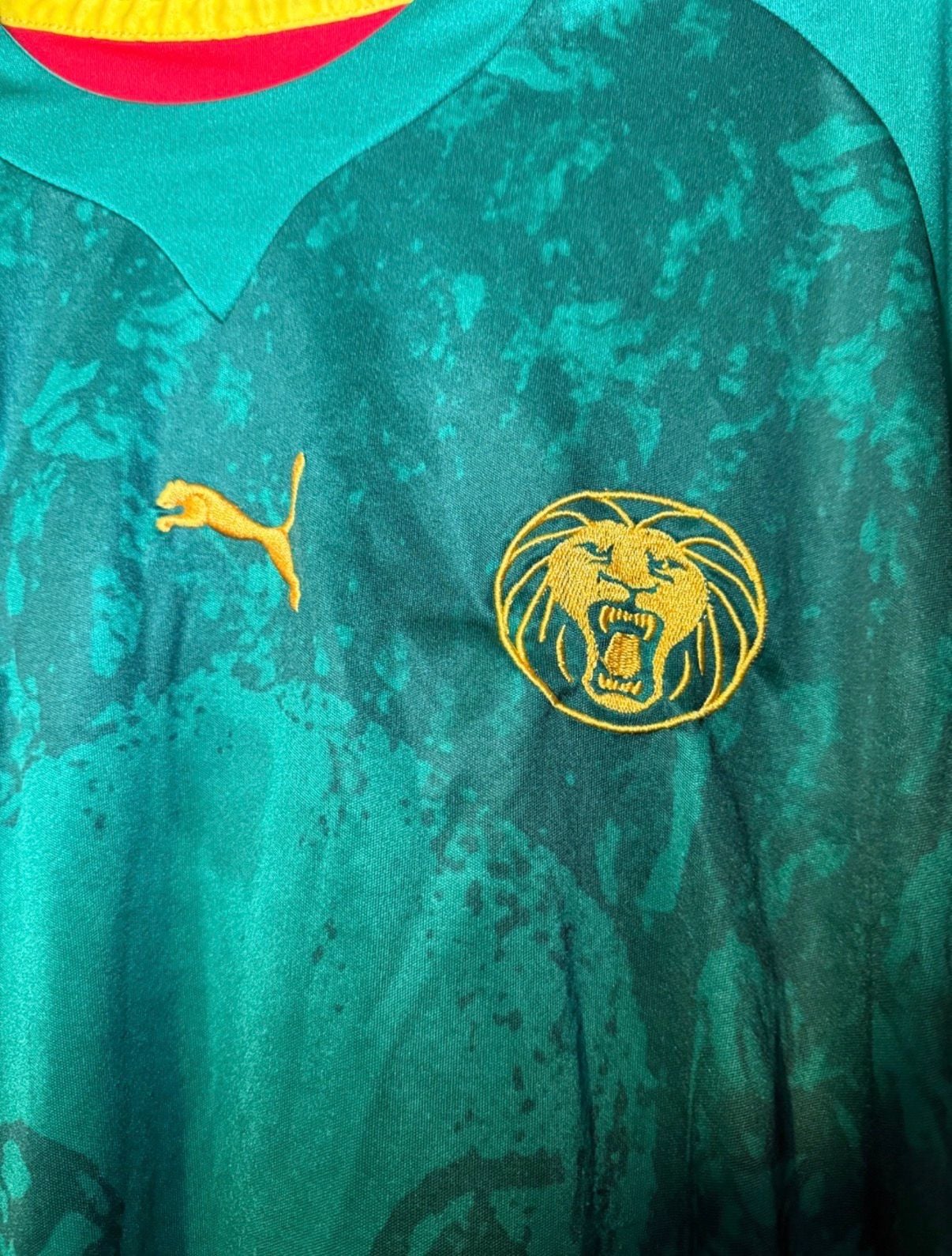 Puma Cameroon 2012-2013 Home Long Sleeve Soccer Jersey 3