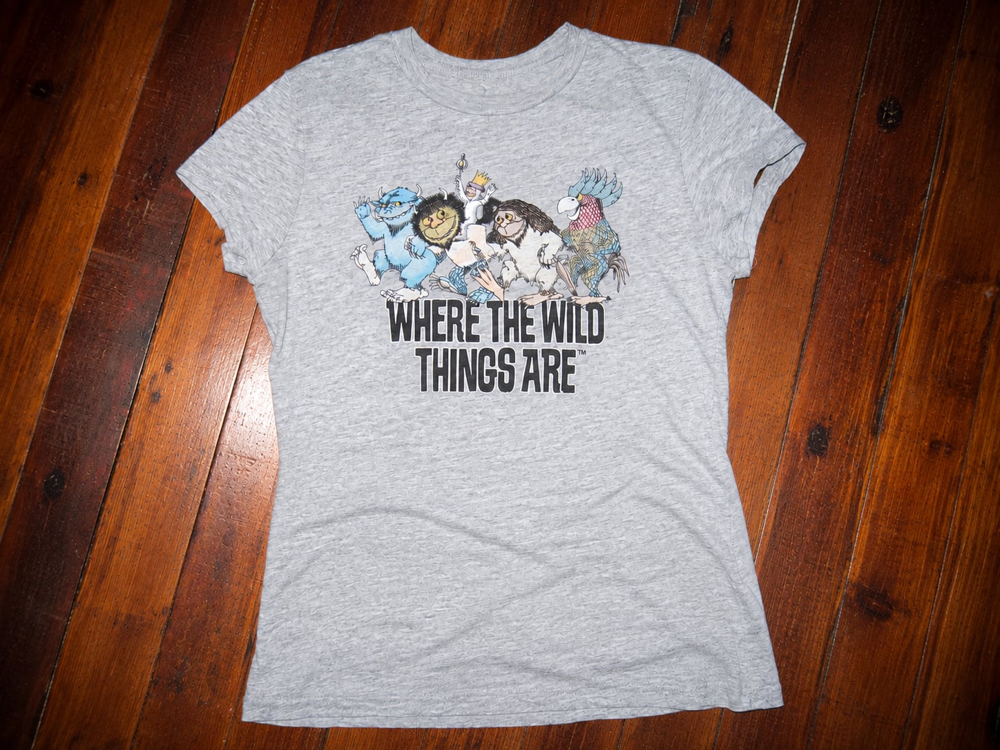 Where The Wild Things Are Graphic T-Shirt Gray
Size 7/9 Girls 3