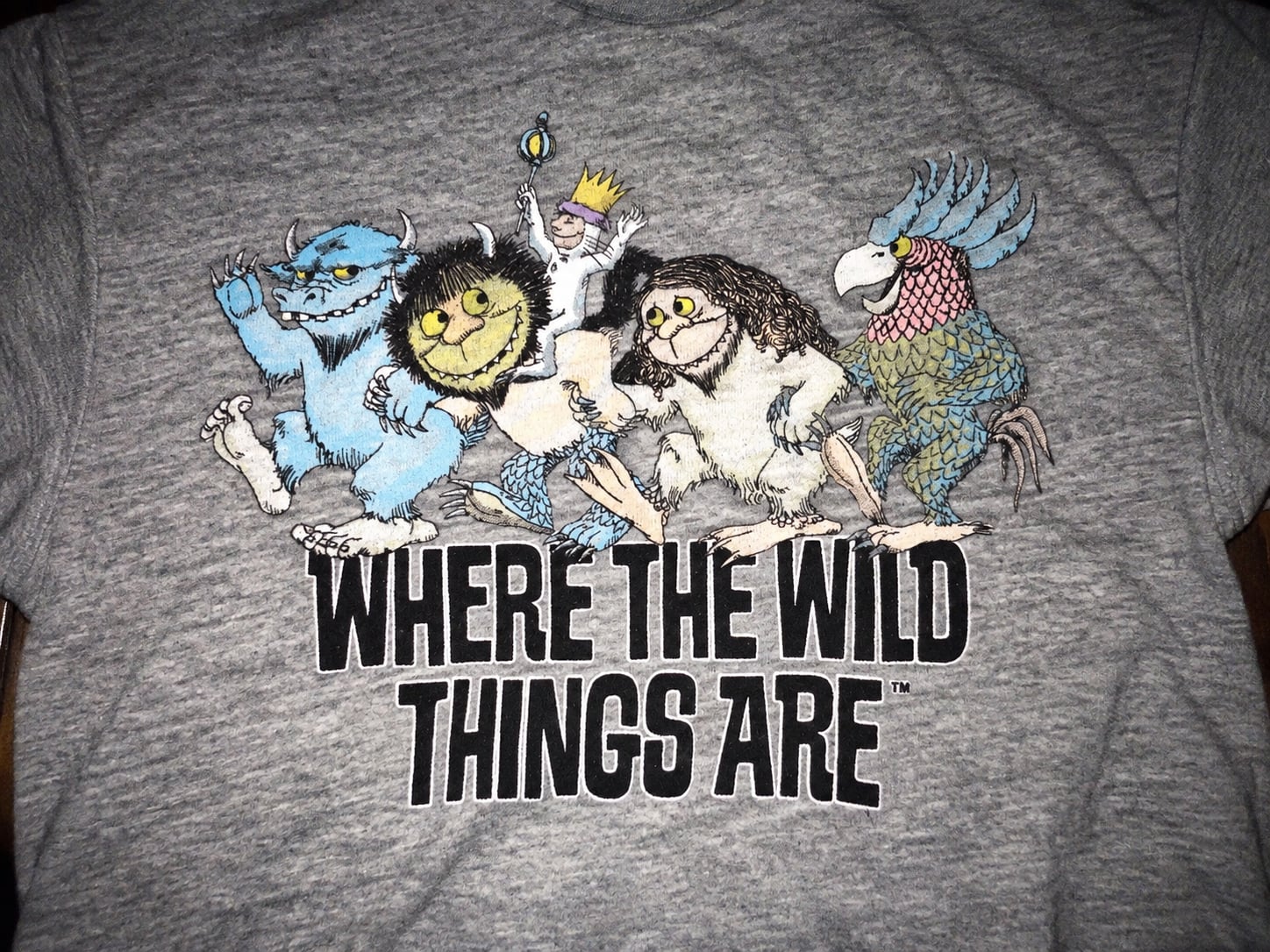 Where The Wild Things Are Graphic T-Shirt Gray
Size 7/9 Girls 4