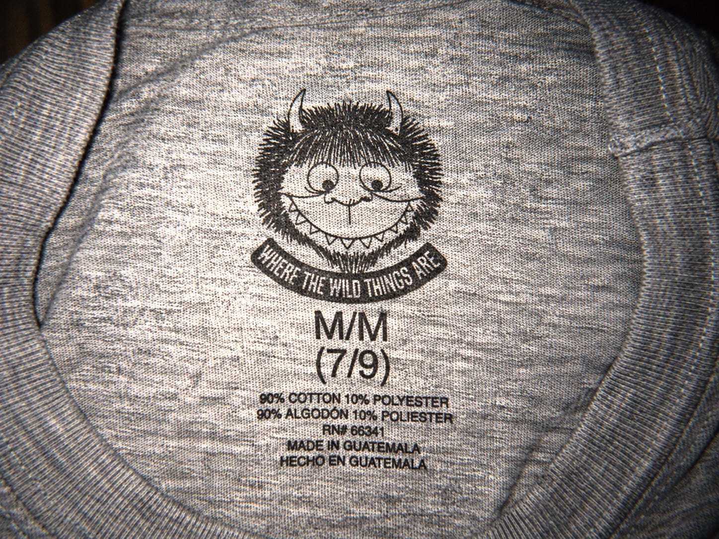 Where The Wild Things Are Graphic T-Shirt Gray
Size 7/9 Girls 5