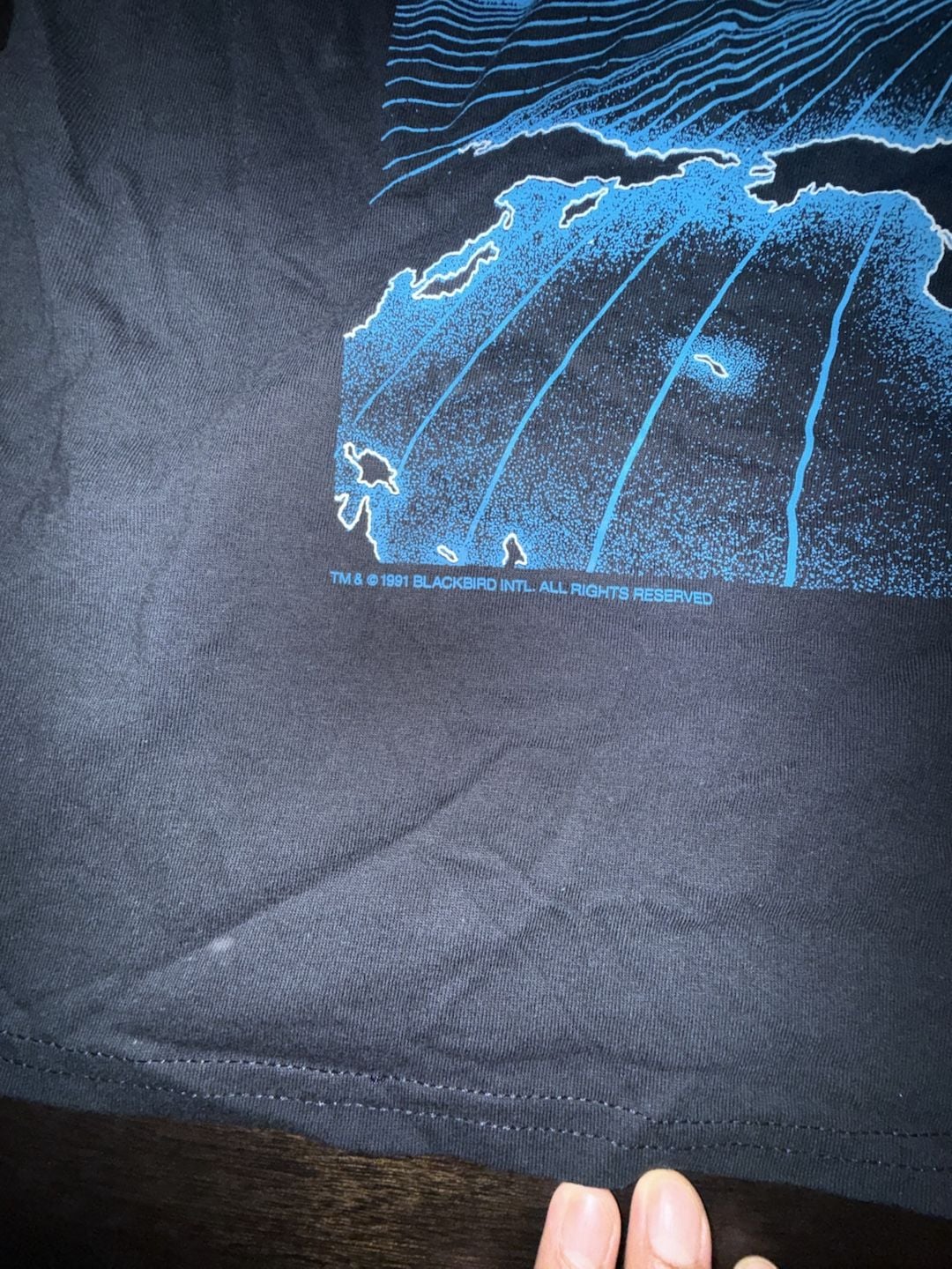 Gildan Blackbird B-2 Stealth Bomber Double-Sided Graphic T-Shirt 5