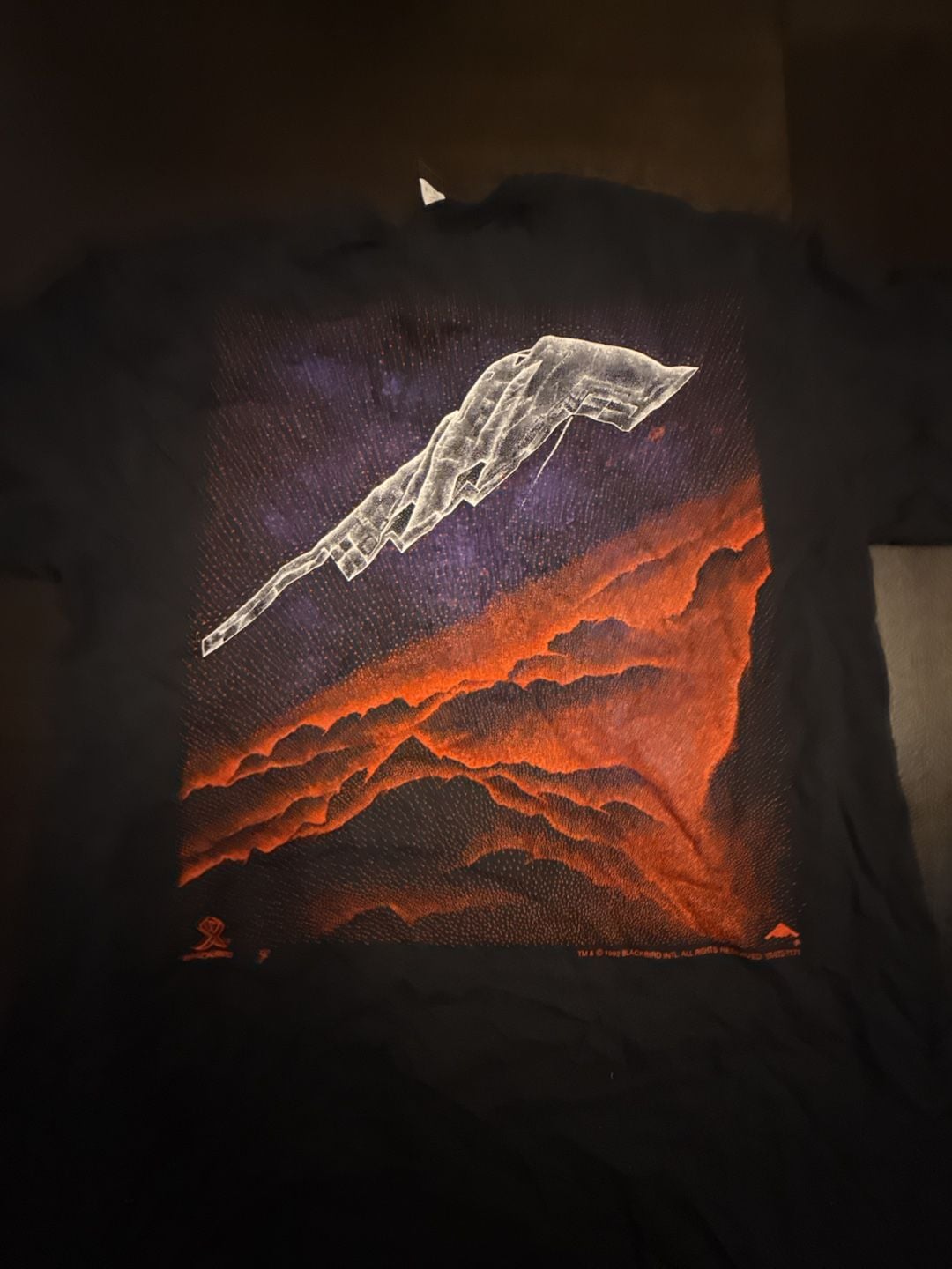 Gildan Blackbird B-2 Stealth Bomber Double-Sided Graphic T-Shirt 8