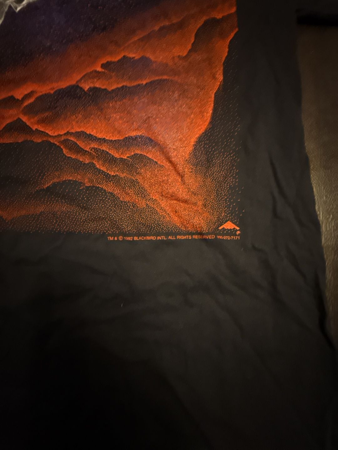 Gildan Blackbird B-2 Stealth Bomber Double-Sided Graphic T-Shirt 9