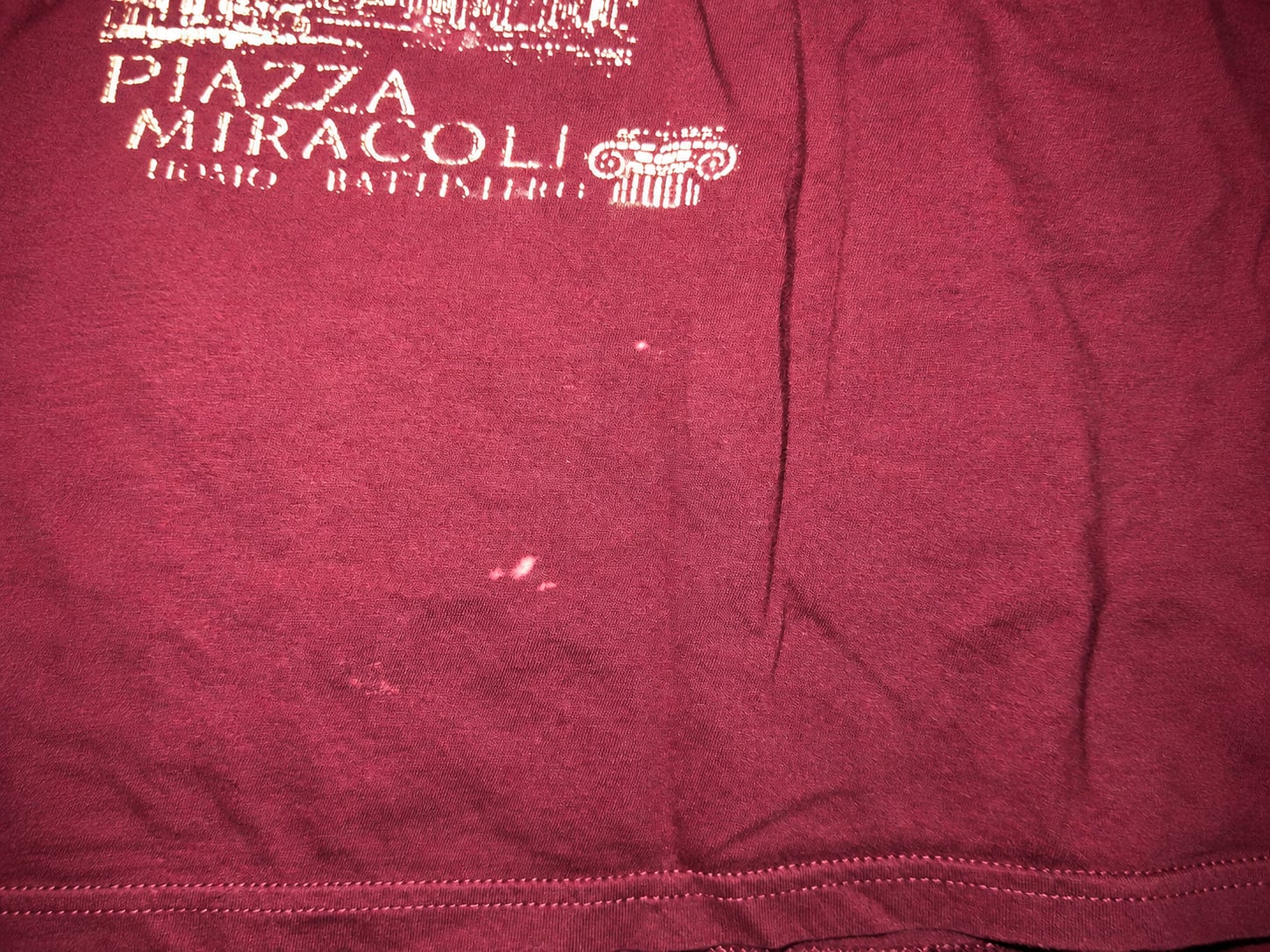 Vintage Pisa Italia Piazza Dei Miracoli Souvenir T-Shirt Burgundy 5