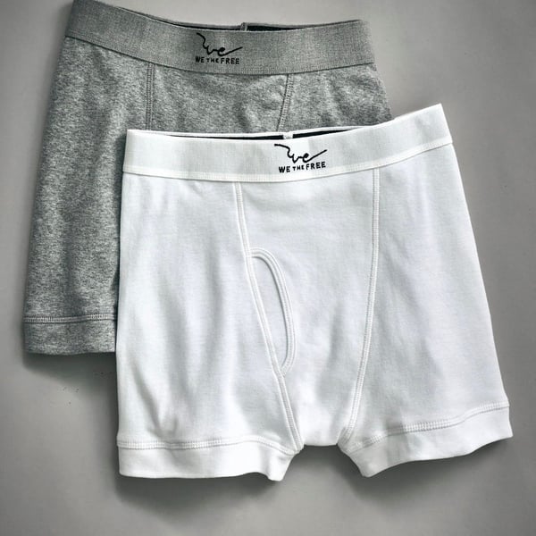 We The Free Cotton Boxer Briefs GREY & WHITE size SMALL NWT 