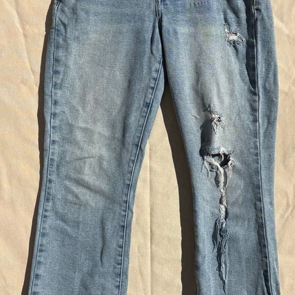 Pistola High Rise Distressed Raw Hem Denim Jeans Size 29
