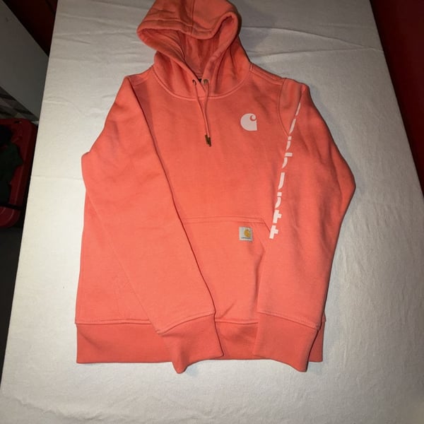 Carhartt Women's Iconic Clarksburg Logo Sleeve Hoodie Coral Pink
