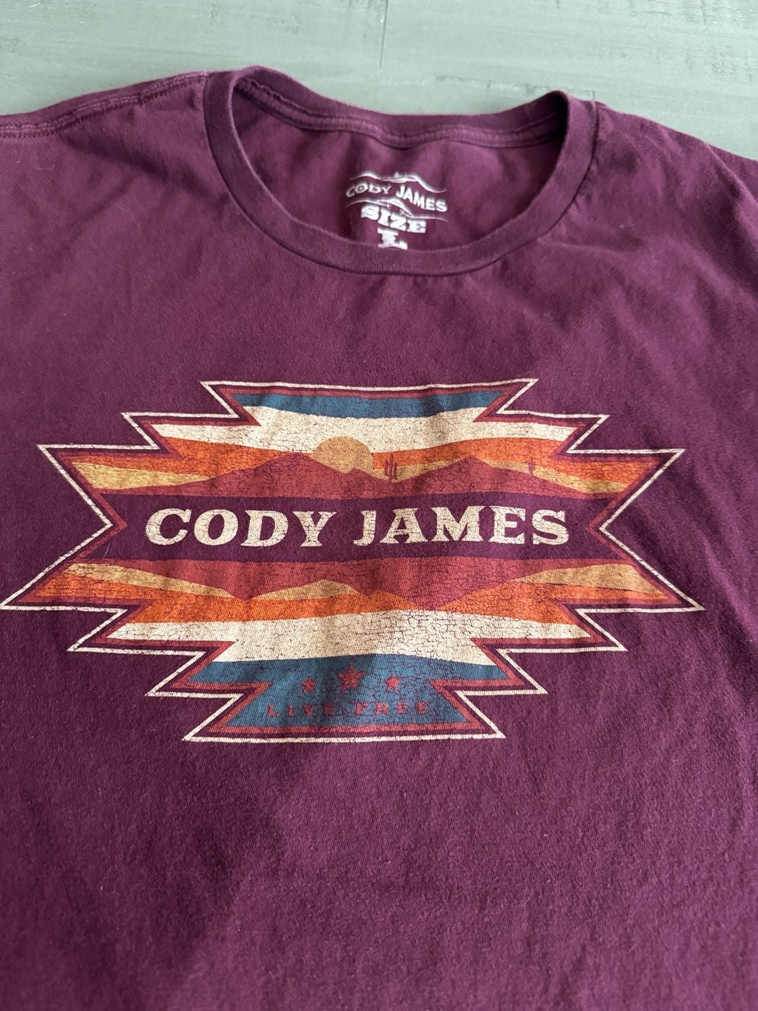 Cody James Men's Southwestern Landscape Graphic T-Shirt Maroon Size L 3