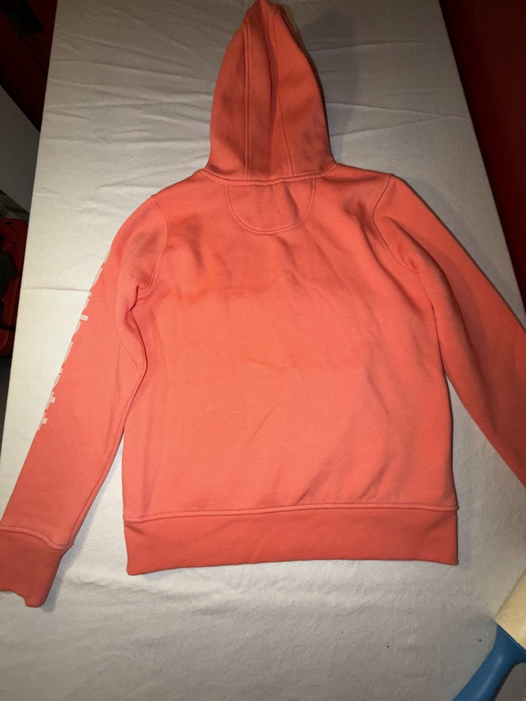 Carhartt Women's Iconic Clarksburg Logo Sleeve Hoodie Coral Pink 8