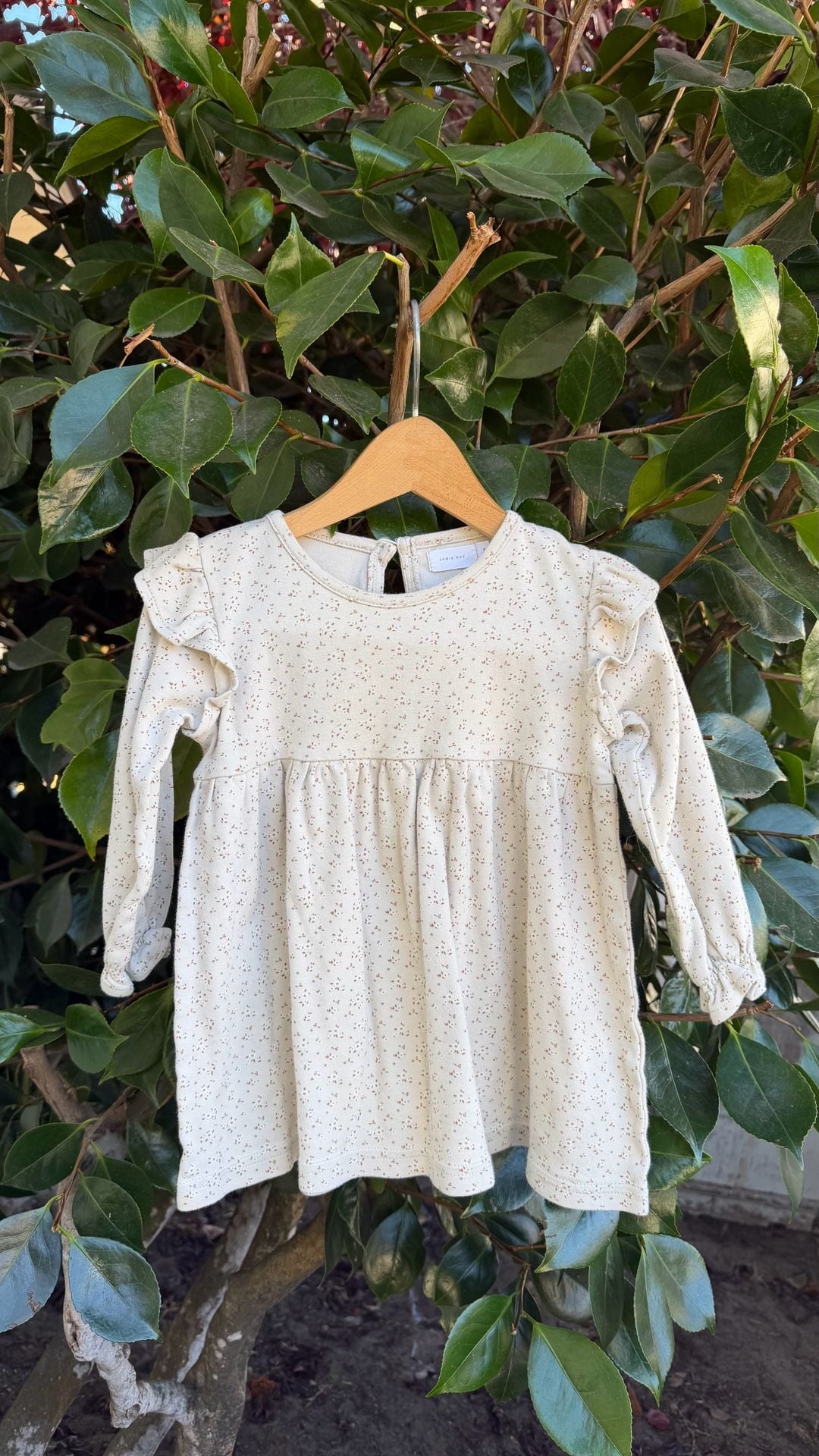 Jamie Kay Ditsy Floral Long Sleeve Floral Dress 2