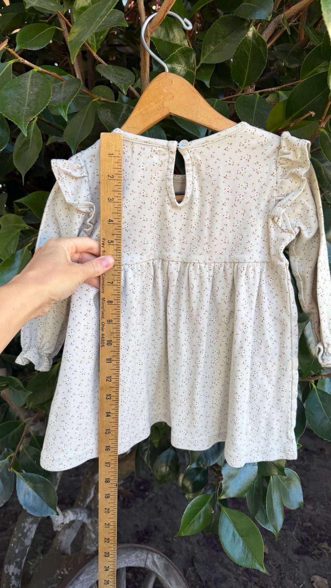 Jamie Kay Ditsy Floral Long Sleeve Floral Dress 5