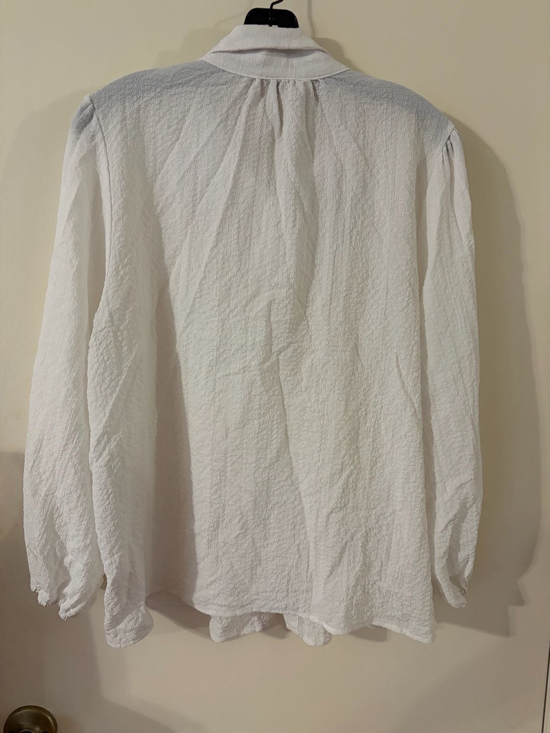 Alice Blue White Textured Button Down Blouse with Rhinestone Collar and Ruffles 3
