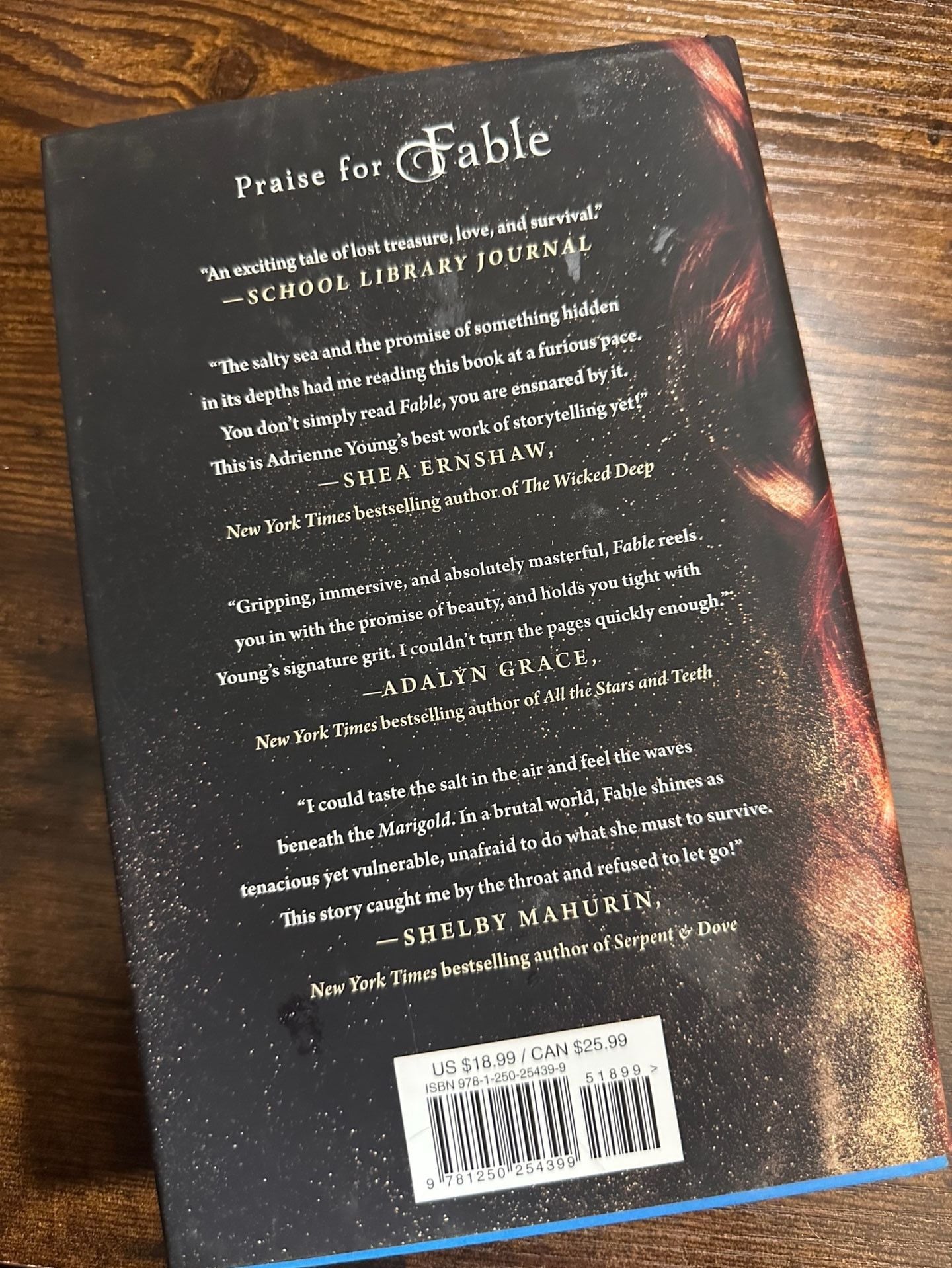 Namesake by Adrienne Young Hardcover Novel 2