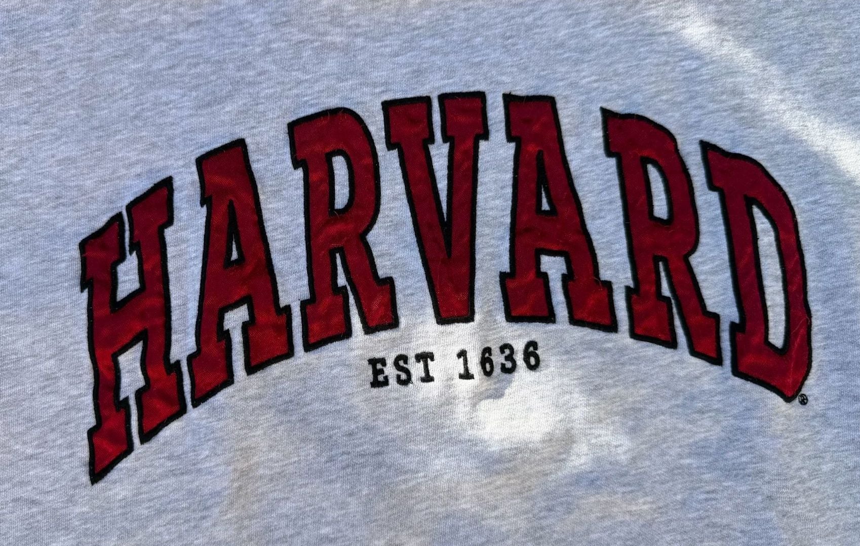 H&M Harvard University Gray Sweatshirt with Embroidered Logo 3