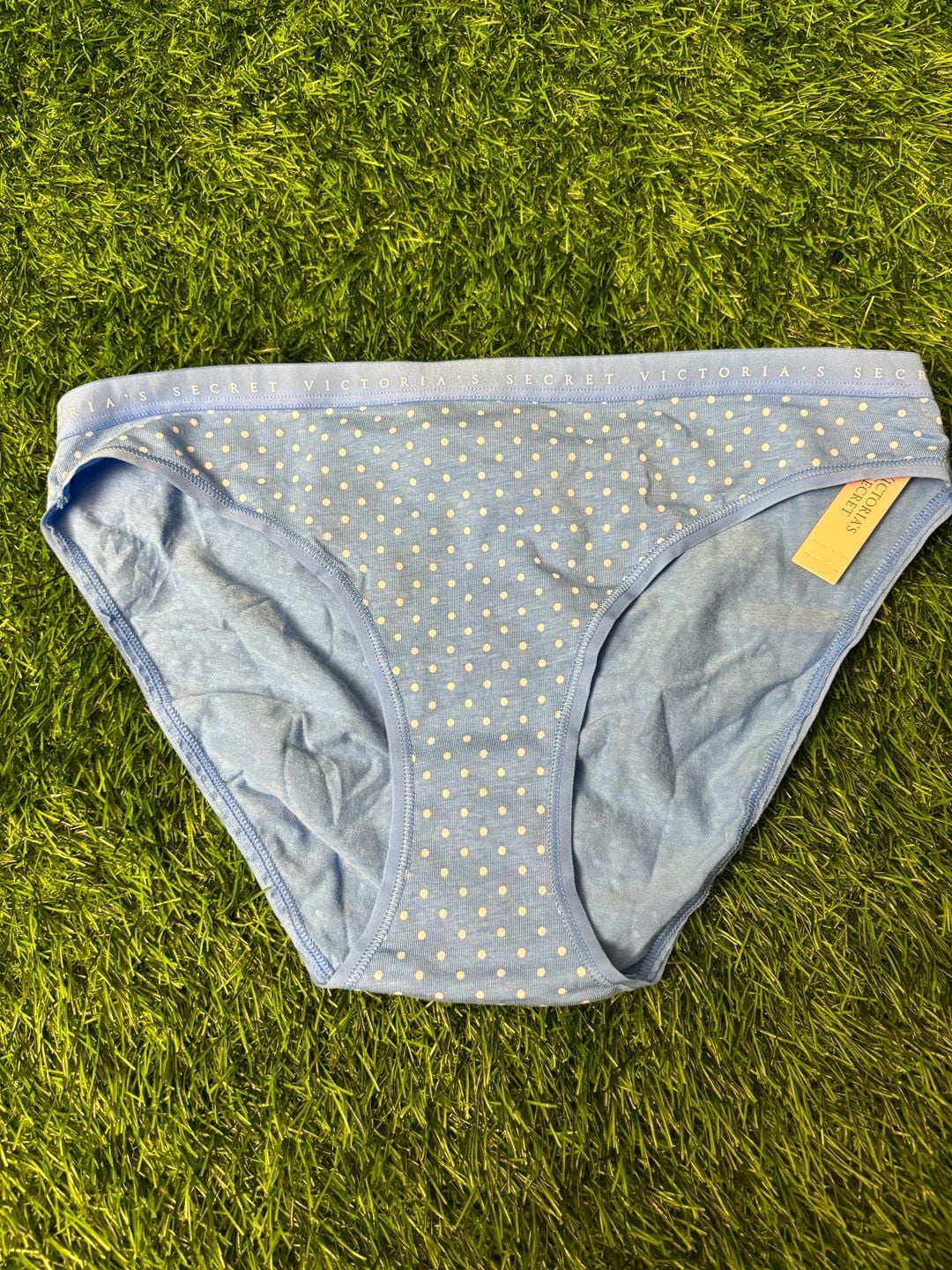Victoria's Secret Blue Polka Dot Cotton Bikini Panty 1