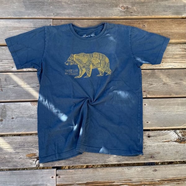 Zio Ziegler & Proof Lab Marin County Bear Graphic Blue T-Shirt Medium