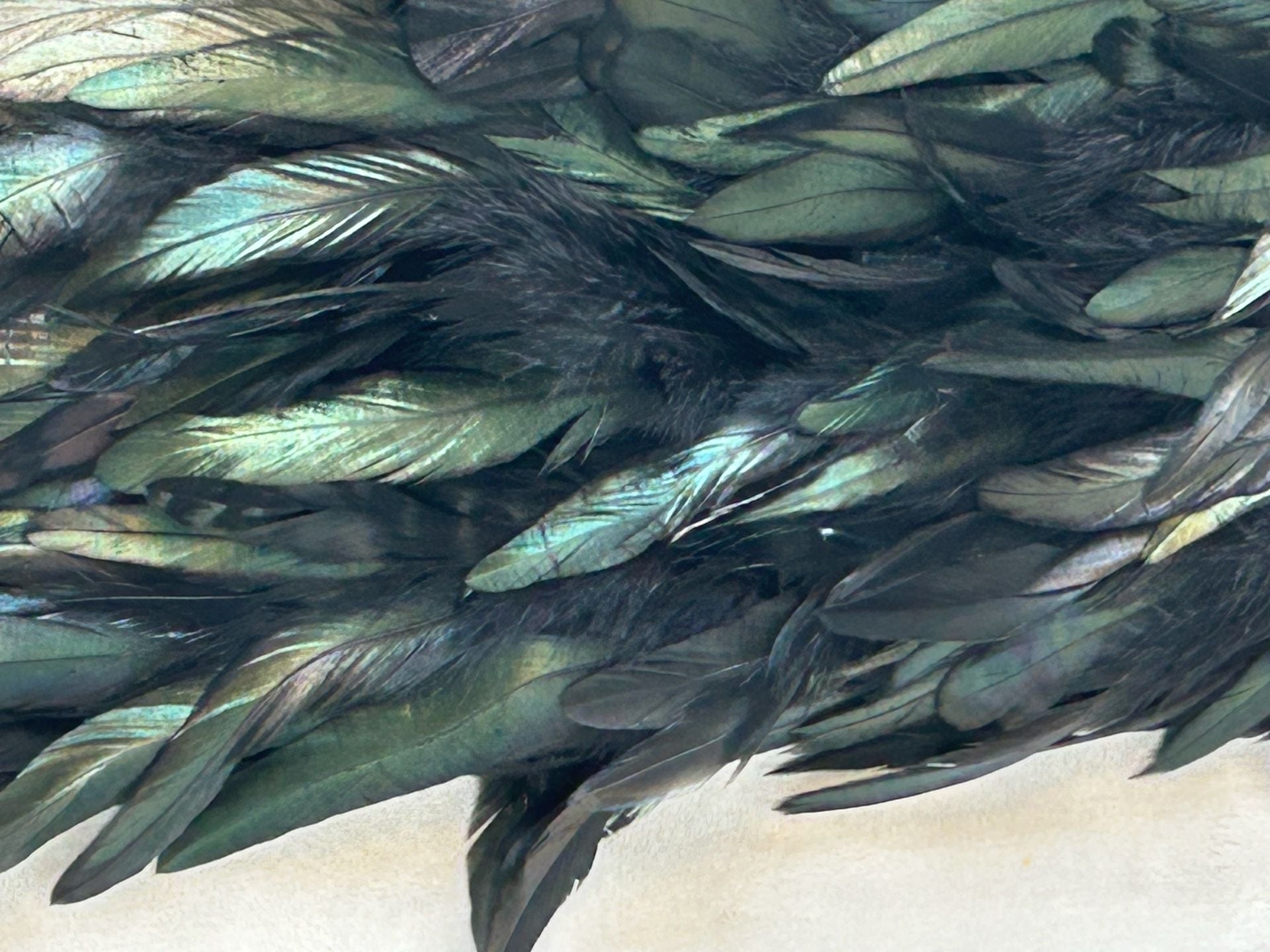 NWT SUGARLIPS Black and Green Iridescent Feather Mini Skirt Size L 16