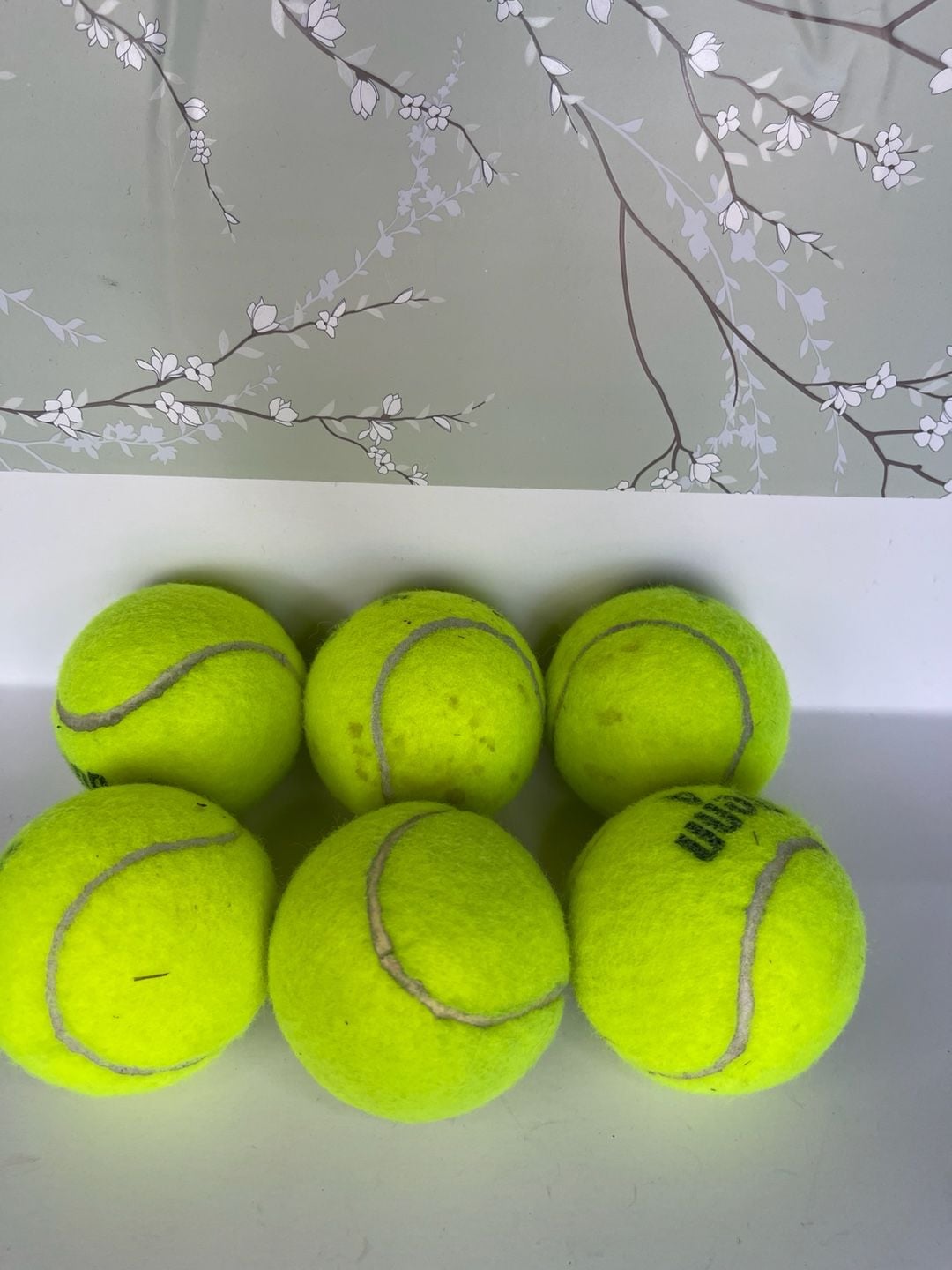 Wilson Tennis Balls Used 6-Pack 1
