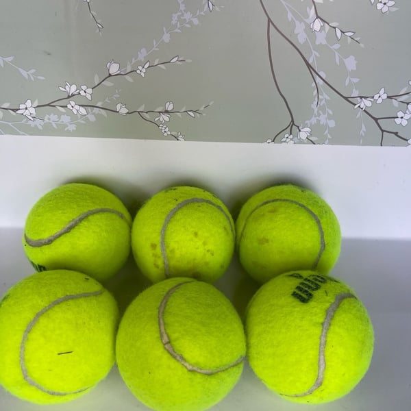 Wilson Tennis Balls Used 6-Pack