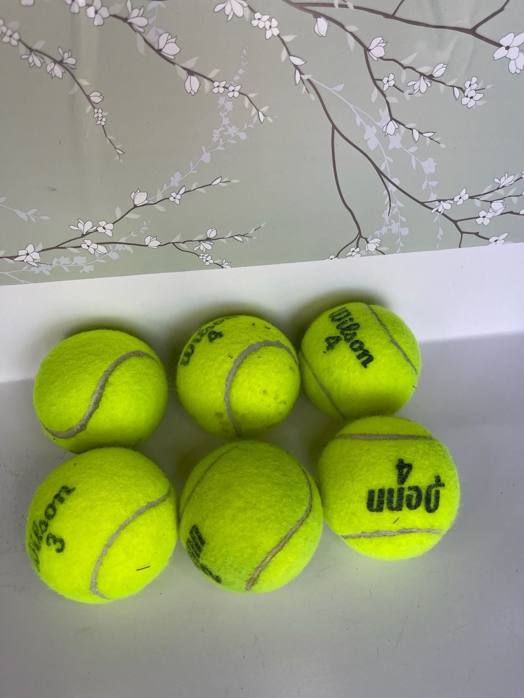 Wilson Tennis Balls Used 6-Pack 2