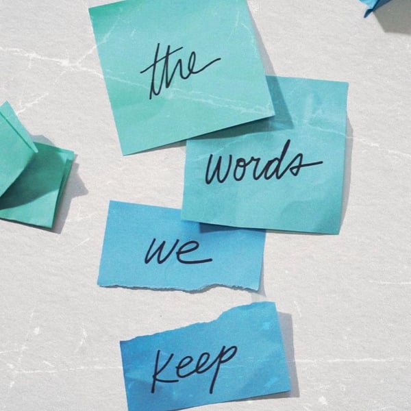 The Words We Keep By Erin Stewart Paperback Book