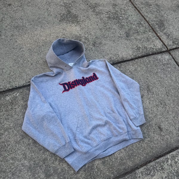 Disney Disneyland Resort Hoodie Size XL Gray Red Blue Graphic