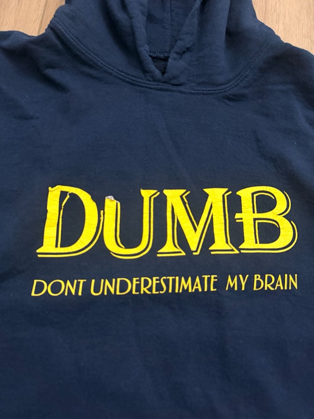 Kings of NY Dumb Dont Underestimate My Brain Navy Hoodie 4