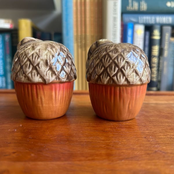 Ceramic Acorn Salt and Pepper Shakers Brown Orange