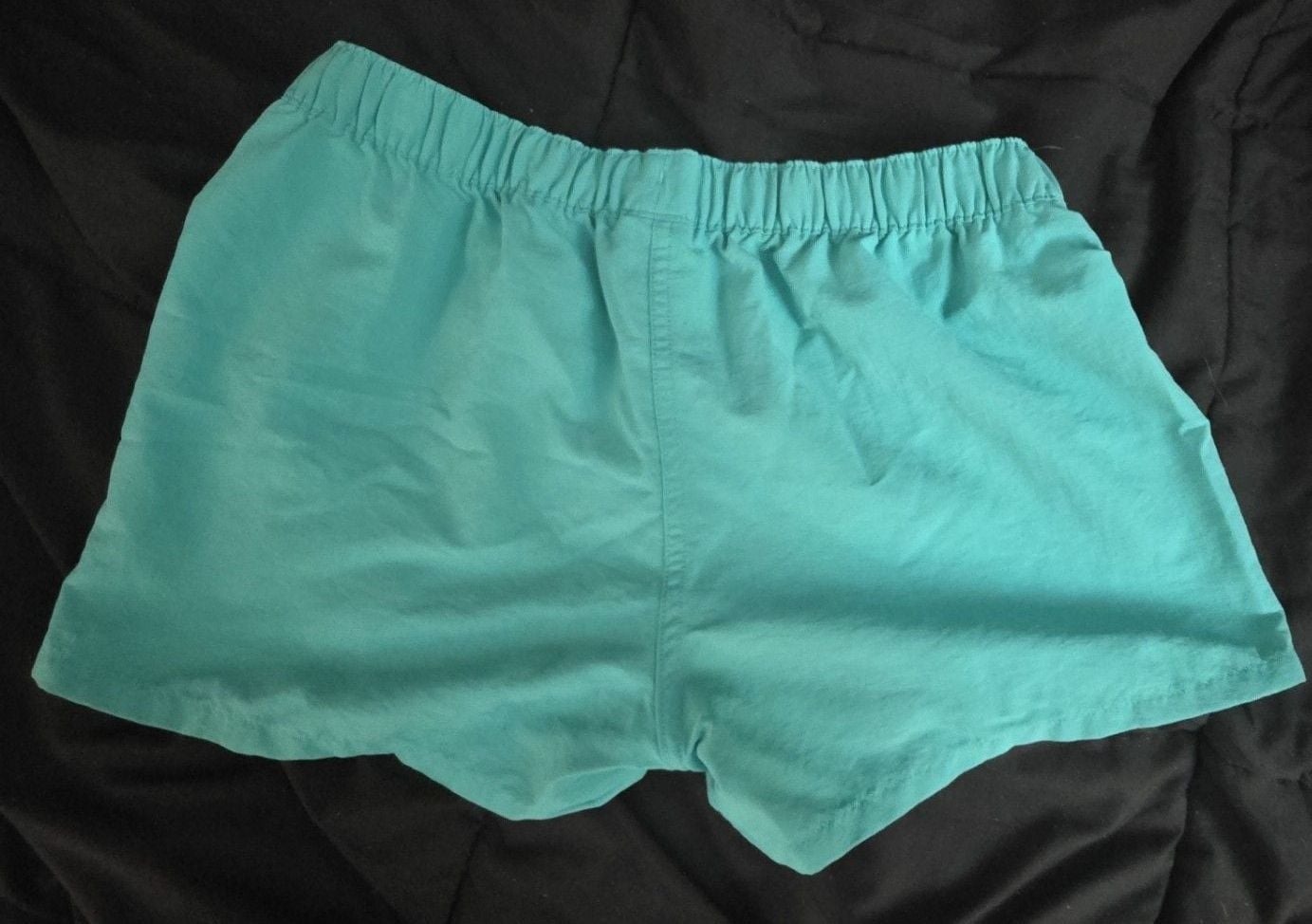 Patagonia Shorts Size M Turquoise Nylon 6