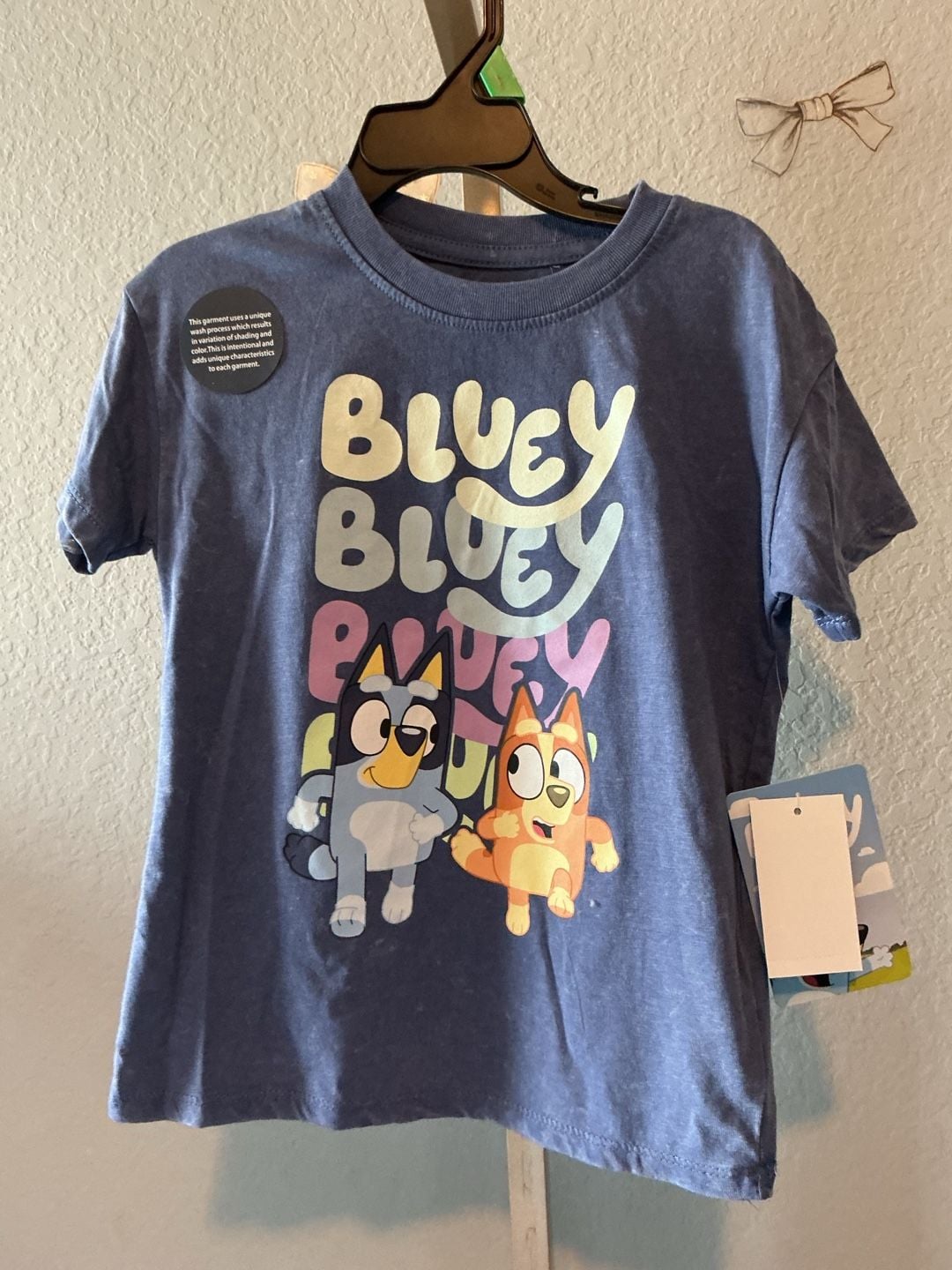Bluey Graphic T-Shirt Mineral Washed Size 4t 2