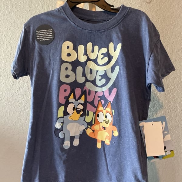 Bluey Graphic T-Shirt Mineral Washed Size 4t