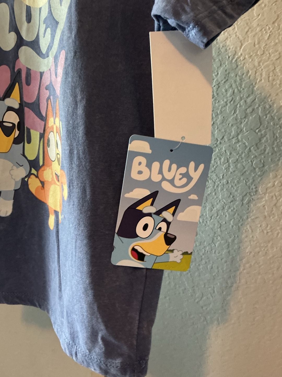 Bluey Graphic T-Shirt Mineral Washed Size 4t 3