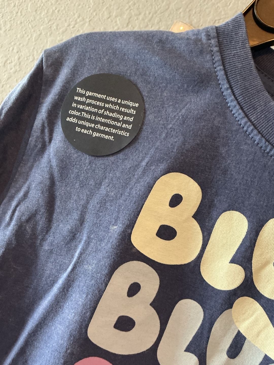 Bluey Graphic T-Shirt Mineral Washed Size 4t 4