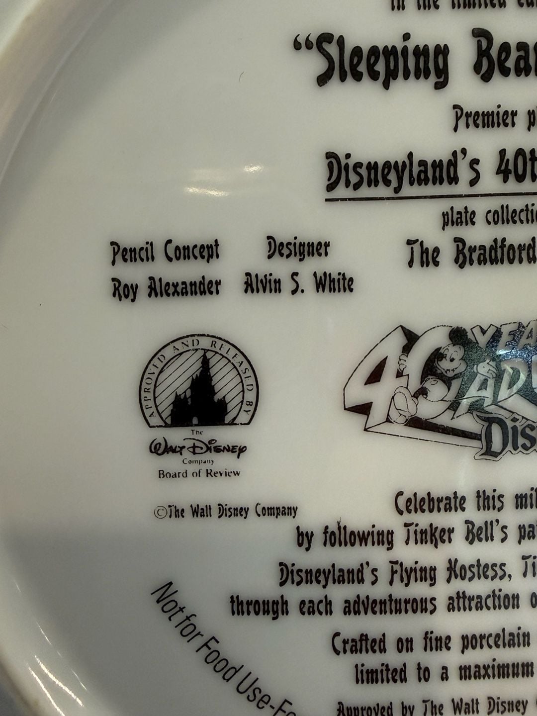 Bradford Exchange Disneyland 40th Anniversary Sleeping Beauty Castle Plate 6